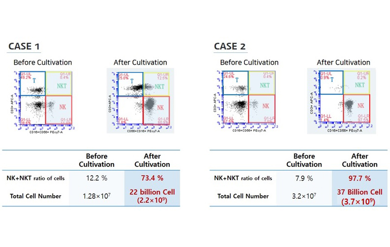 Culture technology proved by culture number